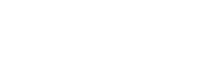 Anytime Fitness Logo